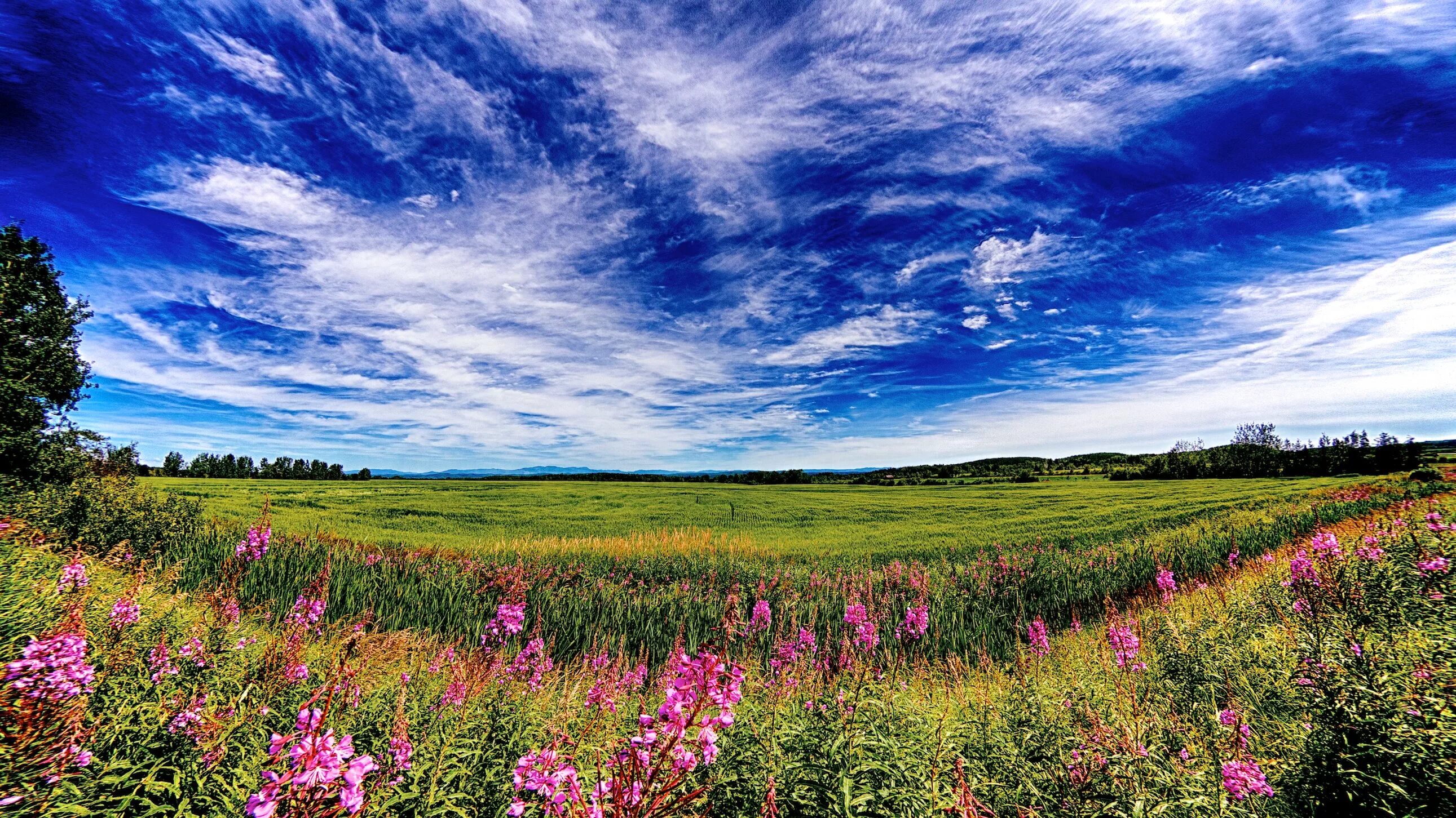 Красивые поля картинки фото Wallpaper : landscape, hill, nature, sky, field, morning, Canon, horizon, Canada