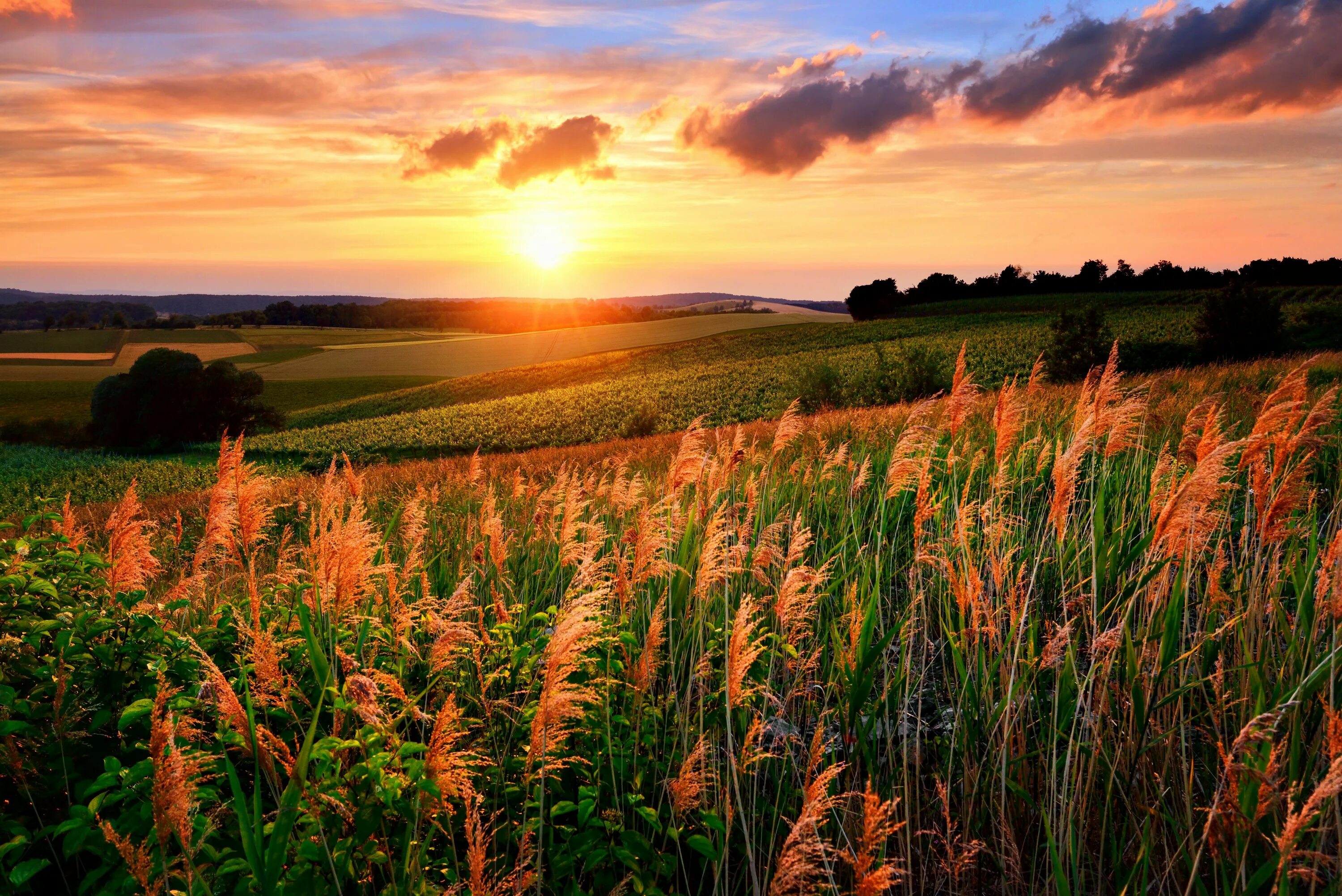 Красивые поля картинки фото 5160x3443 beautiful pictures of sunset Sunset landscape, Sunset, Field wallpaper