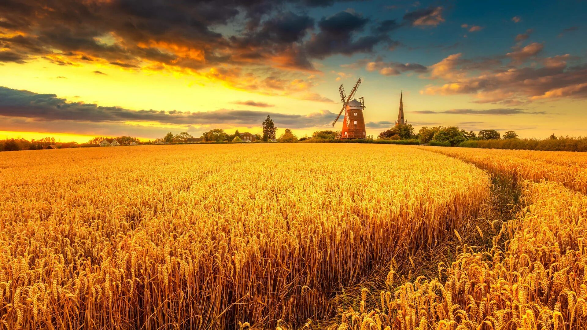 Красивые поля картинки фото Download Wheat Field With Windmill Wallpaper Wallpapers.com
