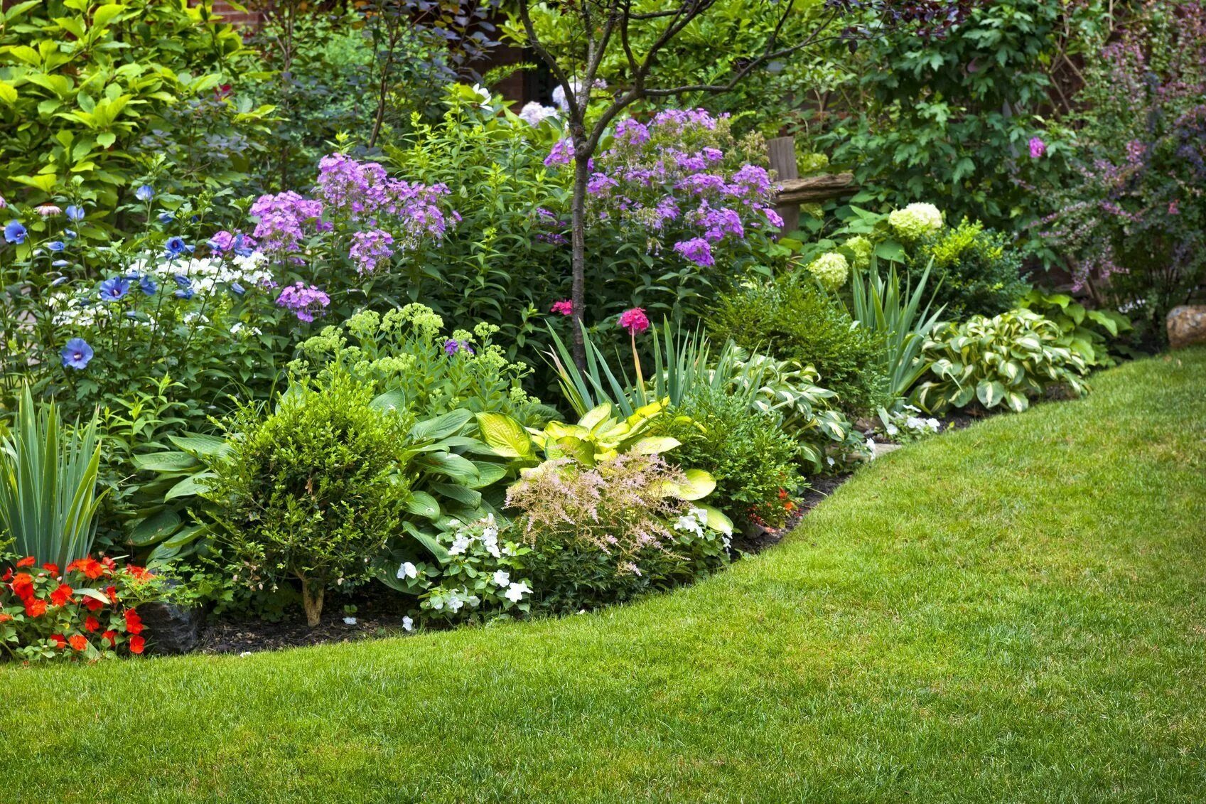 Красивые посадки на даче фото Zone 6 Growing Tips: What Are The Best Plants For Zone 6 Garden planning, Colorf