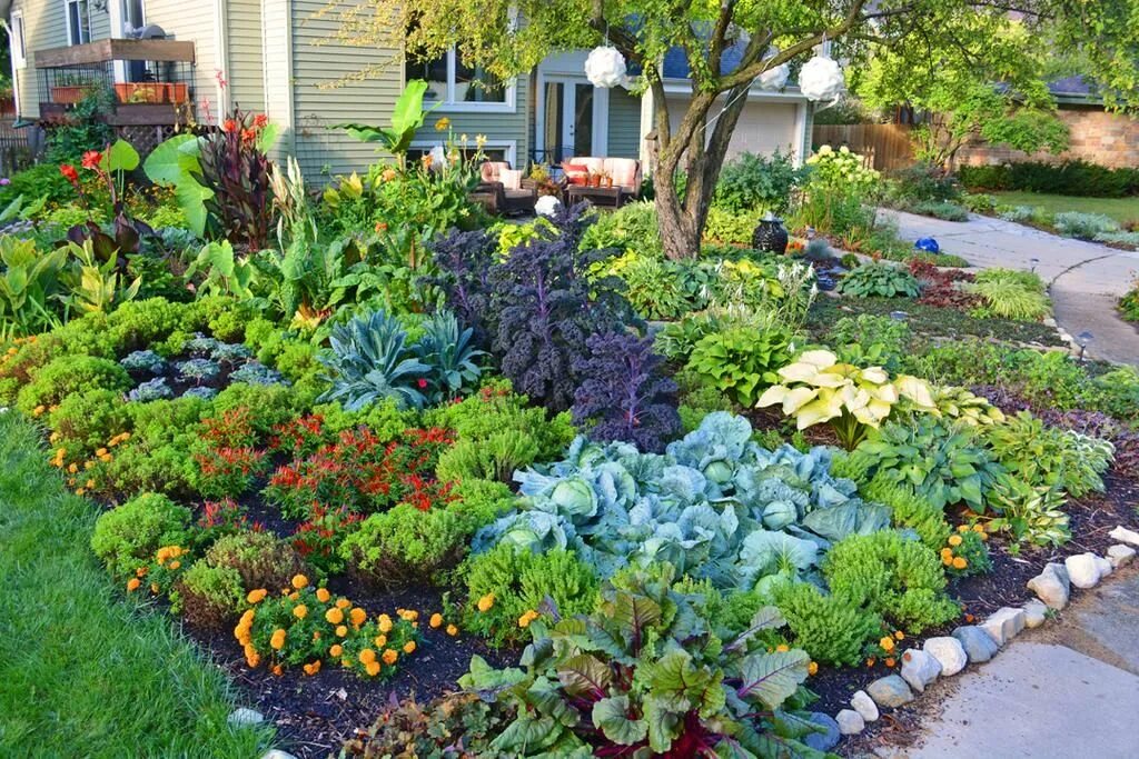 Красивые посадки на даче фото Dan330 on X Front yard garden design, Vegetable garden design, Urban garden