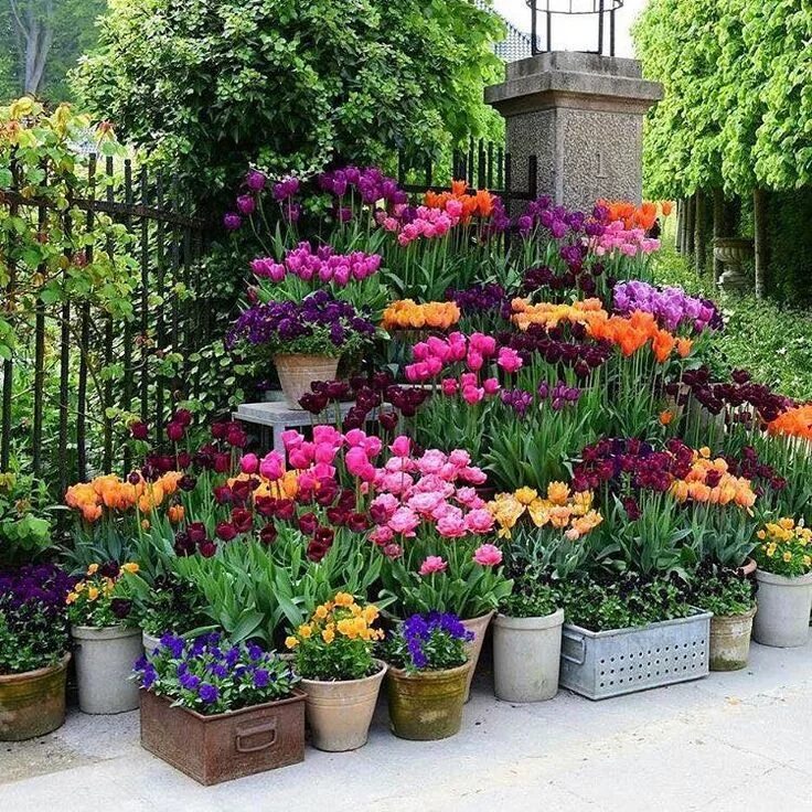 Красивые посадки цветов на даче фото Pin by Judy Blue on Les Fleurs Garden containers, Container garden design, Sprin