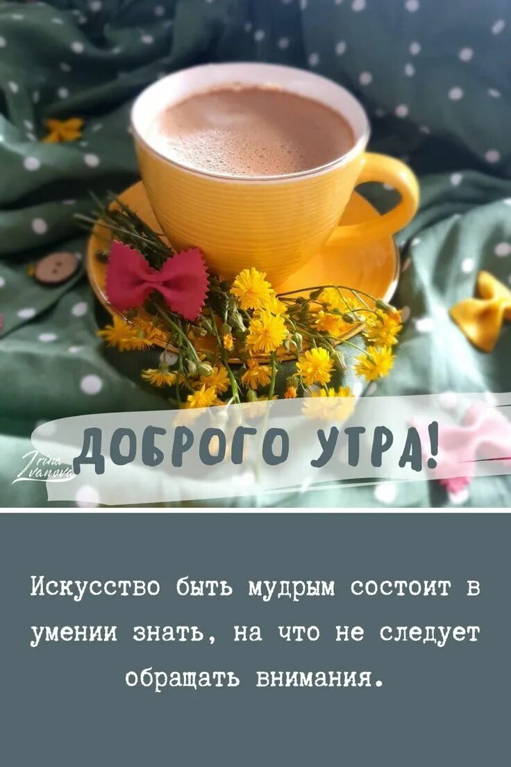 Красивые послания с добрым утром фото мотивации Доброе утро красивые открытки картинки утренние сообщения цитаты инстаграм стори