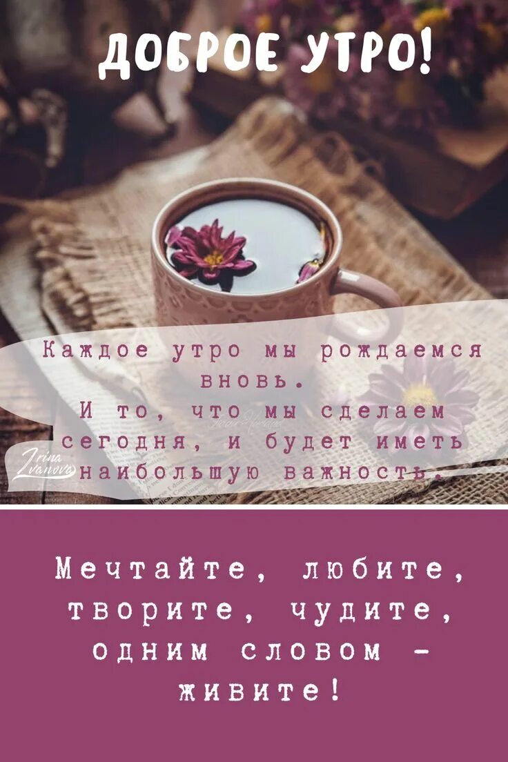 Красивые послания с добрым утром фото мотивации Доброе утро красивые открытки картинки утренние сообщения цитаты инстаграм стори