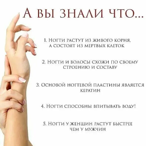 Красивые посты про маникюр полезные посты про маникюр для клиентов - Яндекс: нашлось 11 млн результатов Уче