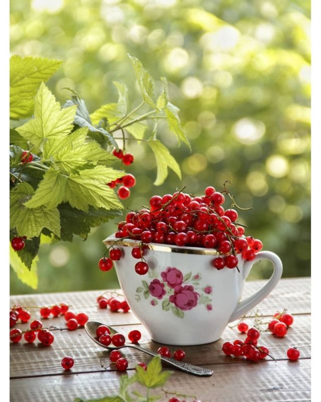 Красивые пожелания доброго утра лета картинки Today. Fruit, Raspberry, Beautiful