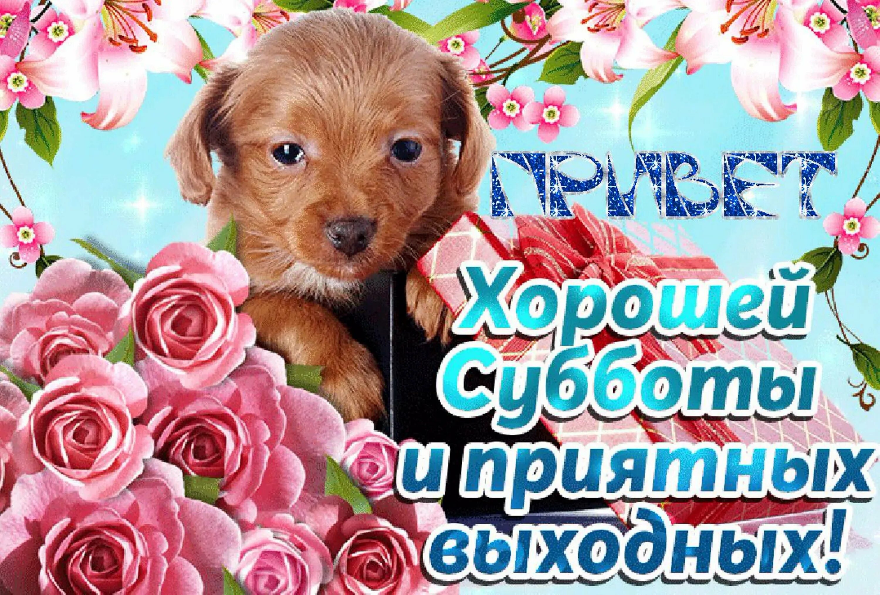 Красивые пожелания с субботой картинки бесплатно Красивые картинки с добрыми пожеланиями суббота: найдено 81 изображений