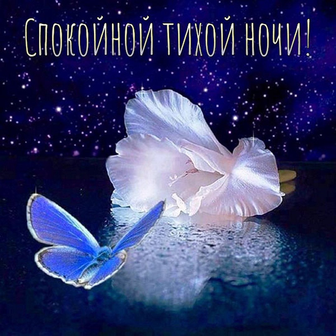 Красивые пожелания спокойной ночи фото Чудесных прекрасных снов: найдено 90 изображений