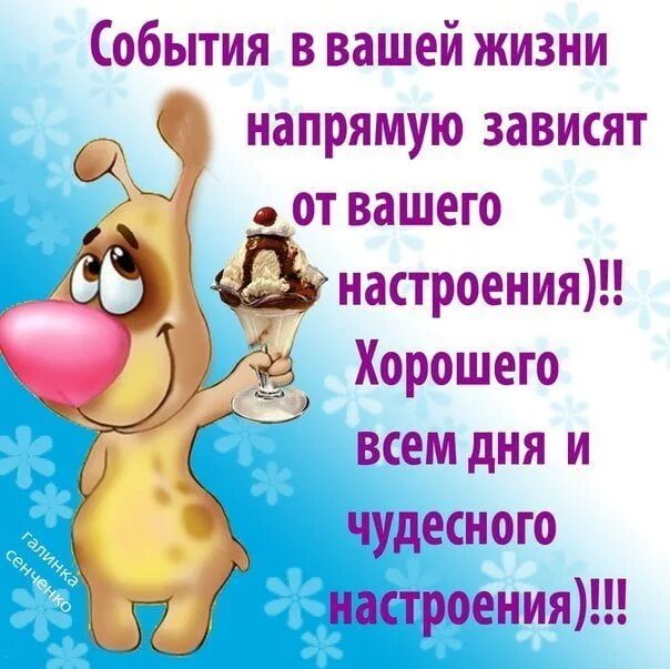 Красивые позитивные картинки для поднятия настроения ОТКРЫТКИ on Viber
