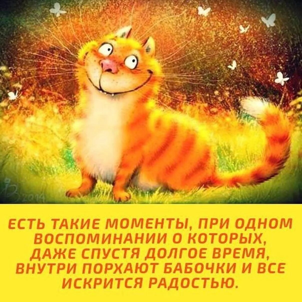 Красивые позитивные картинки для поднятия настроения Отлично сказано 2022 Ежик и Колючка ВКонтакте