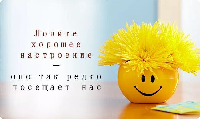 Красивые позитивные картинки для поднятия настроения Вот такой блин новый год((( - DRIVE2