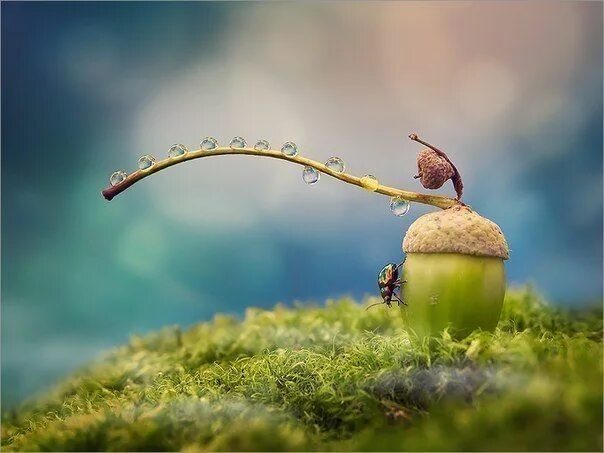 Красивые позитивные картинки природа Пин на доске Beauty of Nature Фотографии, Фотограф, Природа