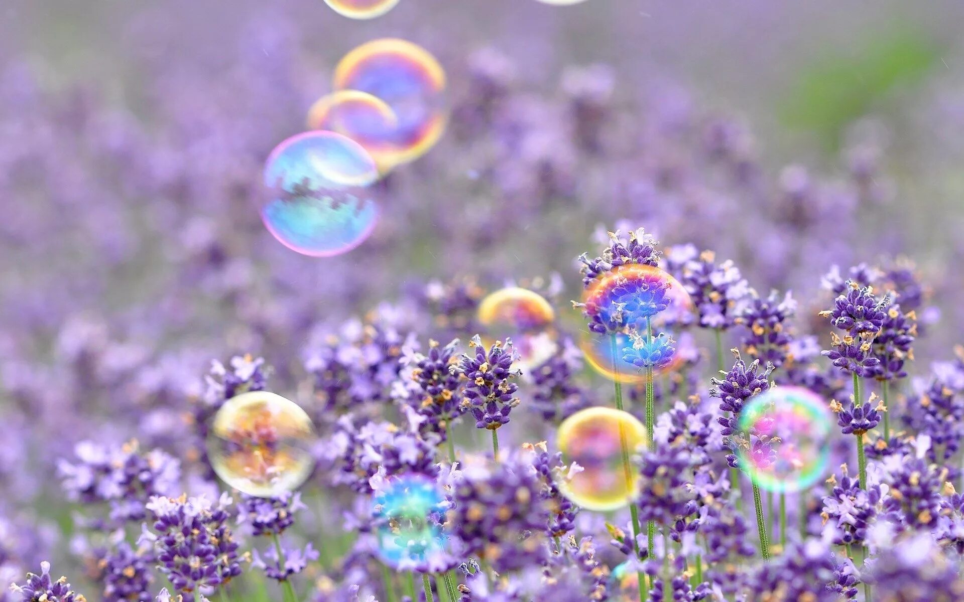 Красивые позитивные картинки природа Pretty Spring Wallpaper 45316 1920x1200px