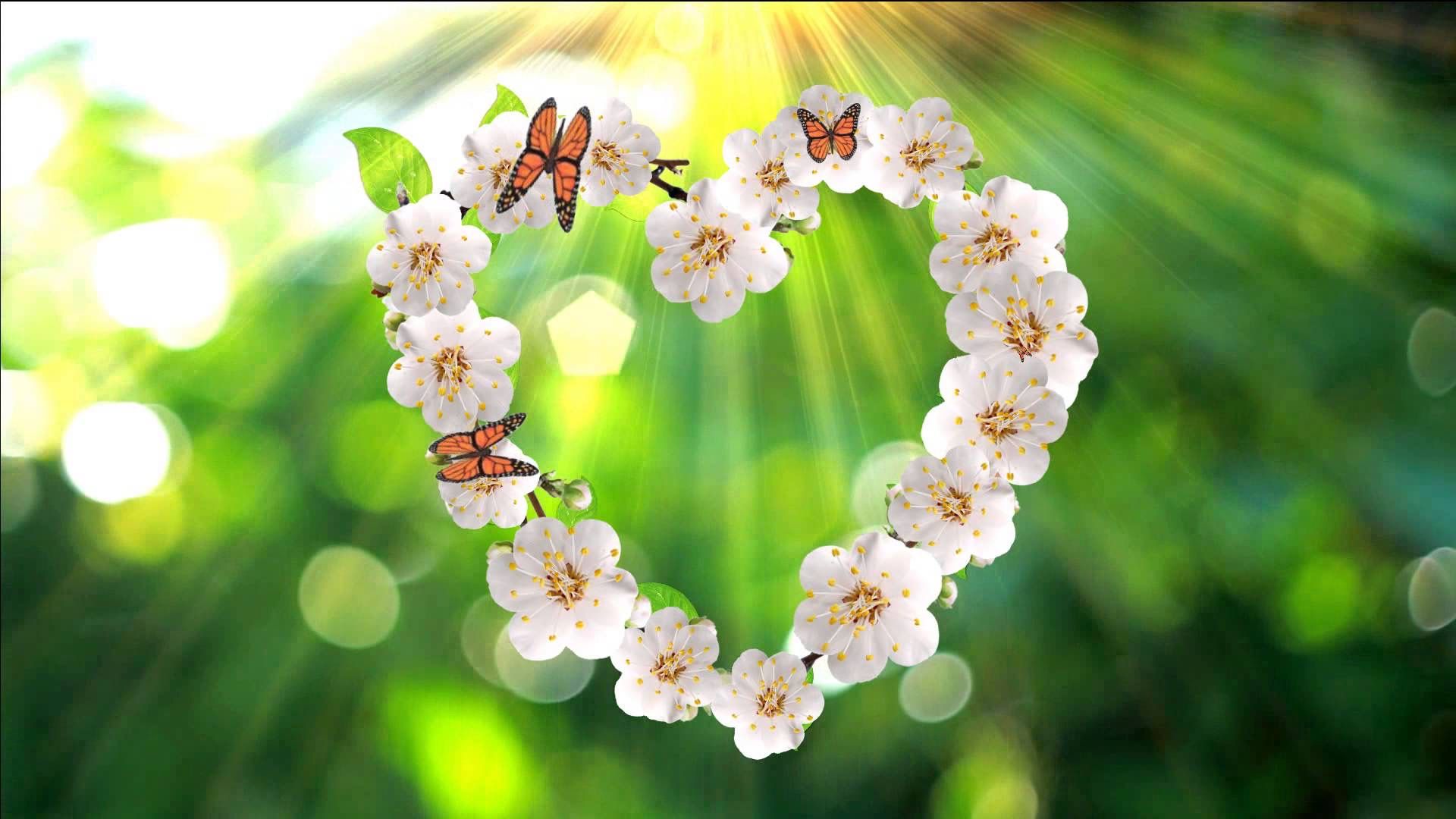 Красивые позитивные картинки природа Pin by Ольга on Открытки,картинки+ Crown jewelry, Jewelry, Crown