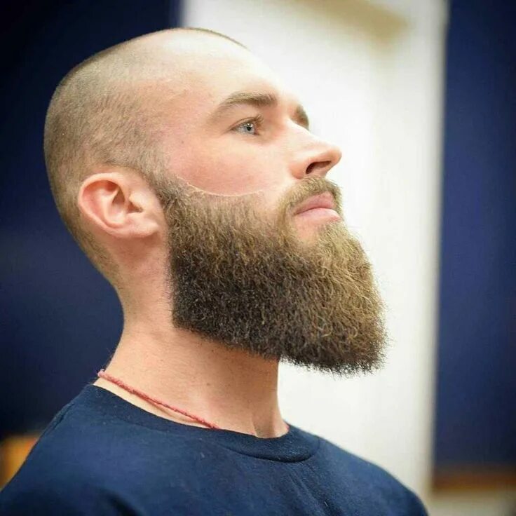 Красивые прически бороды 35 Beard Styles for Bald Guys to Look Stylish and Attractive Blonde beard, Bald 