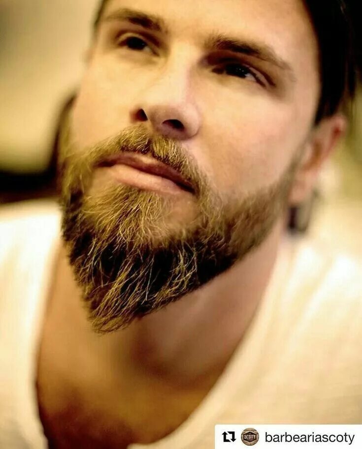 Красивые прически бороды Pin em Beardo's Estilos de cabelo e barba, Barba e cabelo masculino, Ideias de b