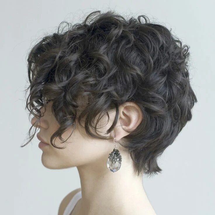 Красивые прически на короткие волосы кудрявые cool Шикарные кудрявые волосы: короткие и длинные стрижки (50 фото) Читай больше