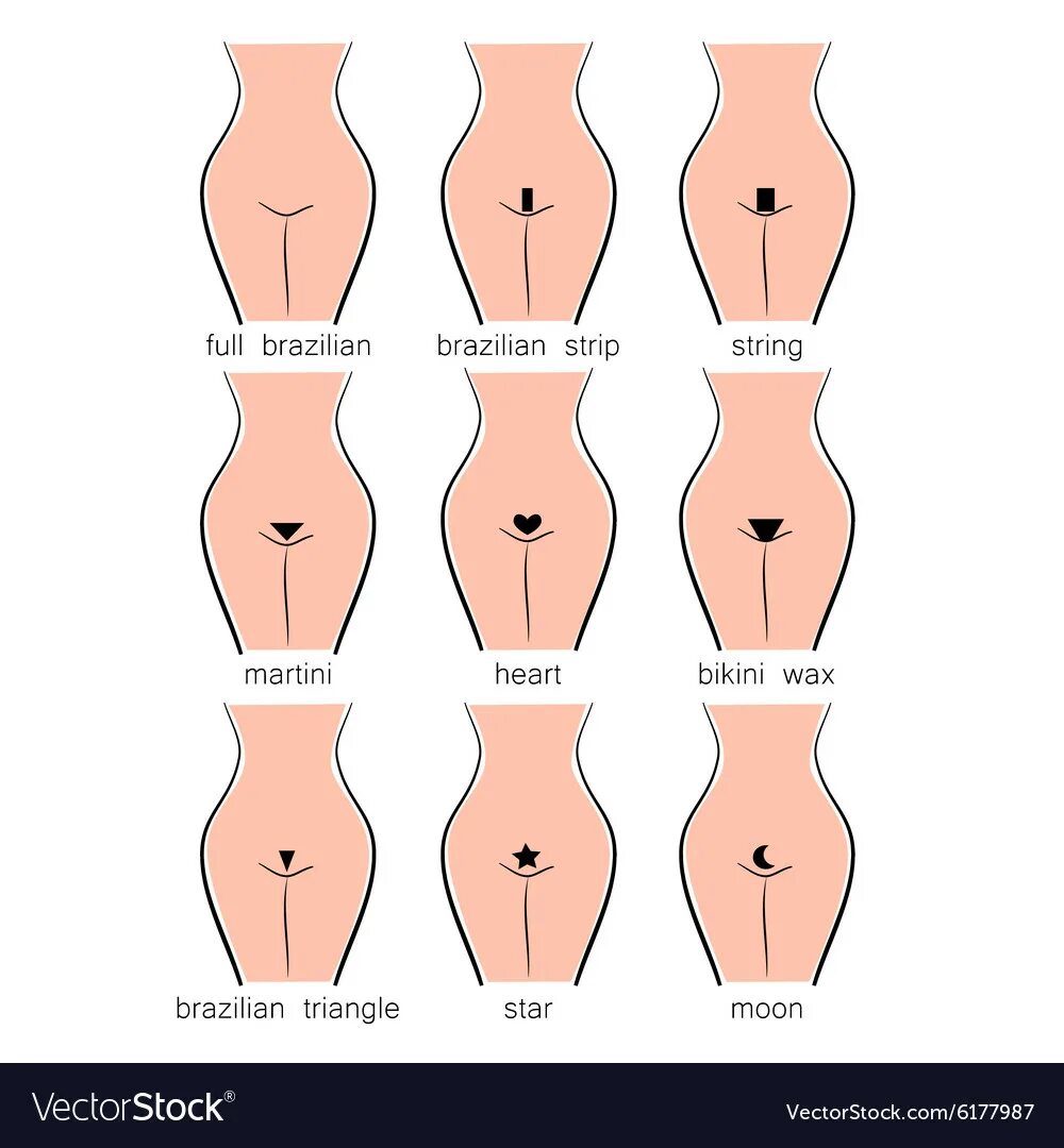 Красивые прически на лобке женщин Female wax types Royalty Free Vector Image - VectorStock