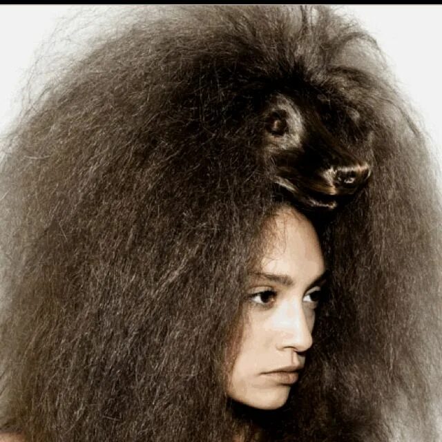 Красивые прически на пушистые волосы Pin by Tiana De Guzman on Crazy Hair humor, Bad hair, Hair styles