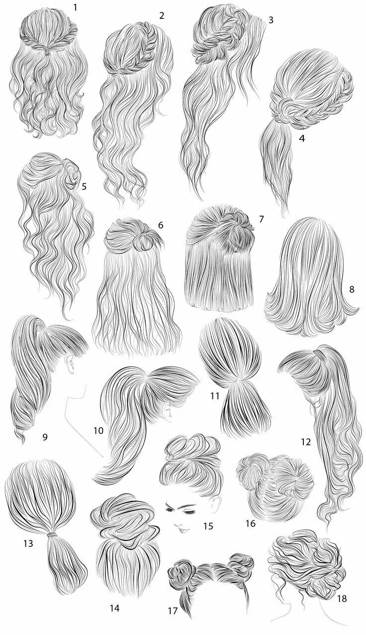 Красивые прически срисовка 18 vector female hairstyles by colorshop on Creative Market Hair sketch, Girl ha