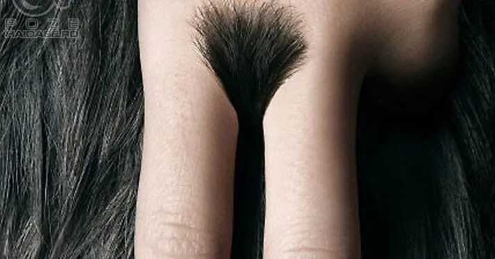 Красивые прически женских писей фото Female pubic hair: найдено 89 картинок