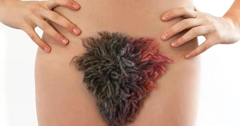 Красивые прически женских писей фото Pubic Hair: In or Out? Filthy
