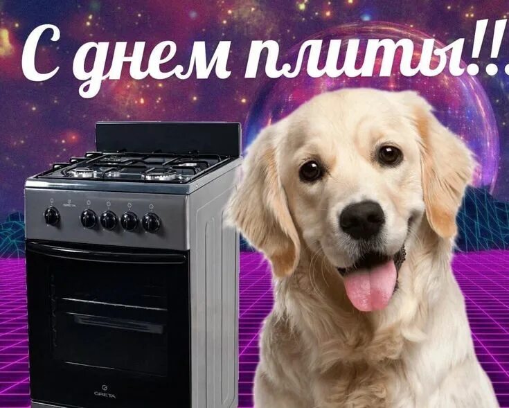 Красивые прикольные картинки с днем с днем плиты! Cute love memes, Happy memes, Cute memes