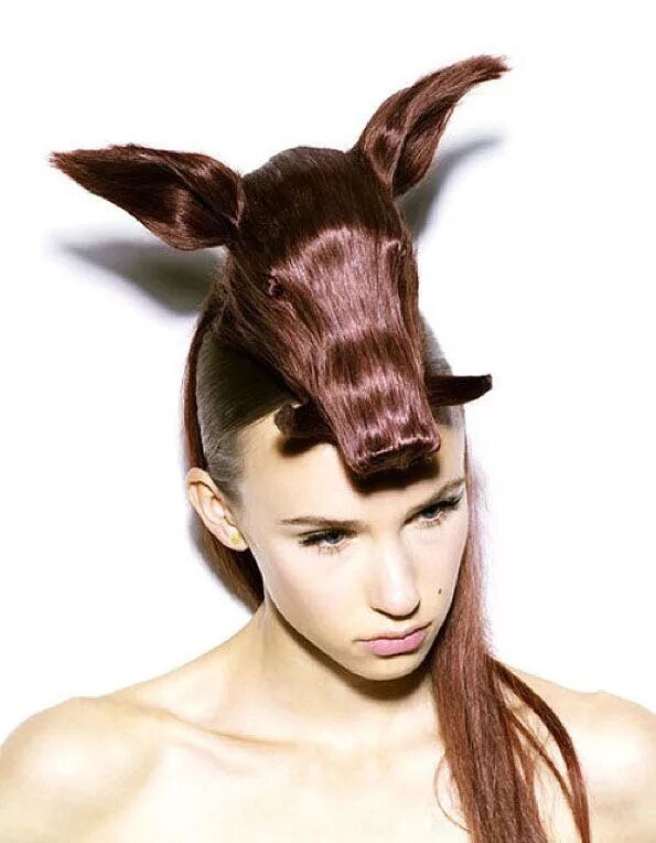 Красивые прикольные прически Animals Sculpted Out Of Hair Hair humor, Crazy hair days, Crazy hair