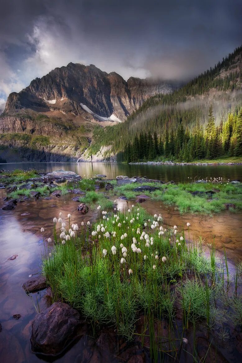 Красивые природные фото Artistic-realistic nature Beautiful nature, Beautiful landscapes, Nature picture