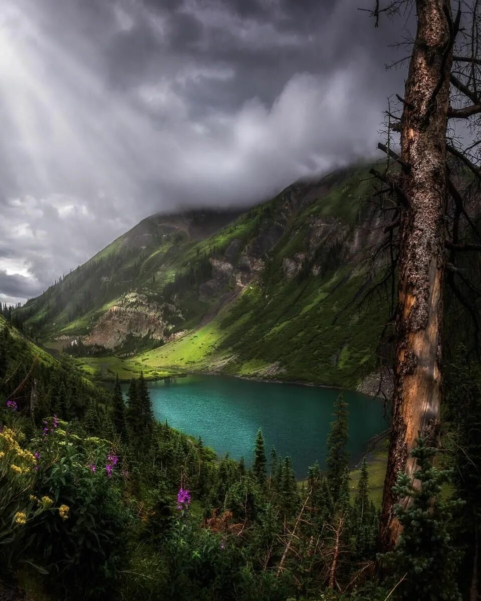 Красивые природные фото A break in the dramatic weather spotlights the beautiful Emerald Lake - Crested 