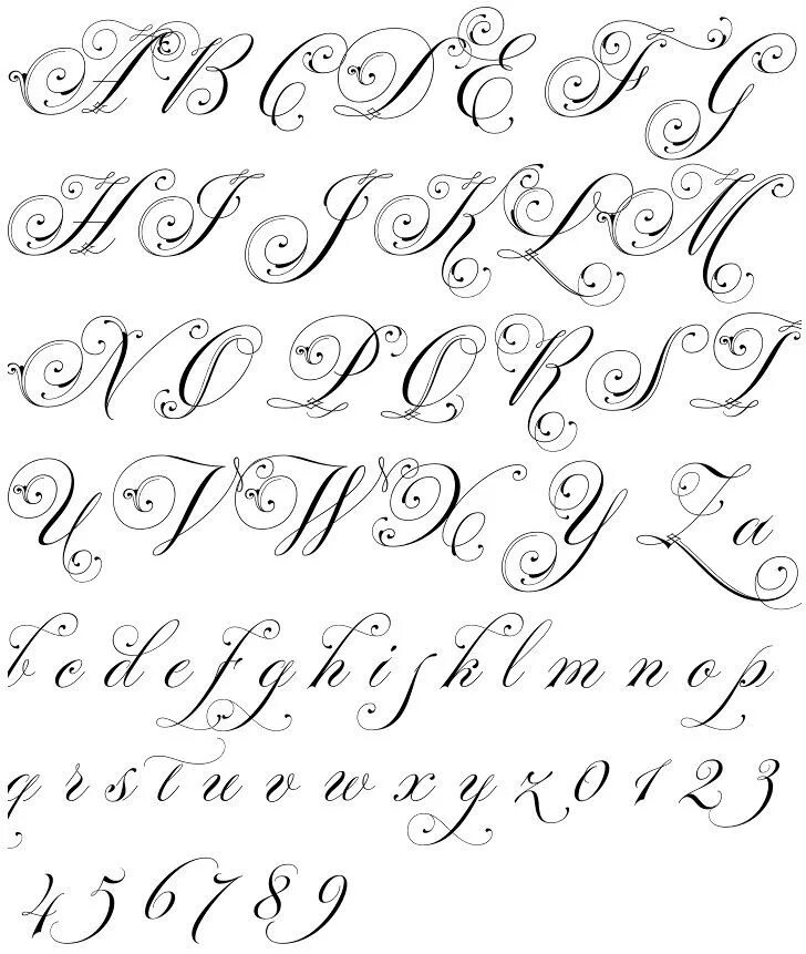 Красивые прописные буквы для оформления с завитками Baroque Lettering Alphabet