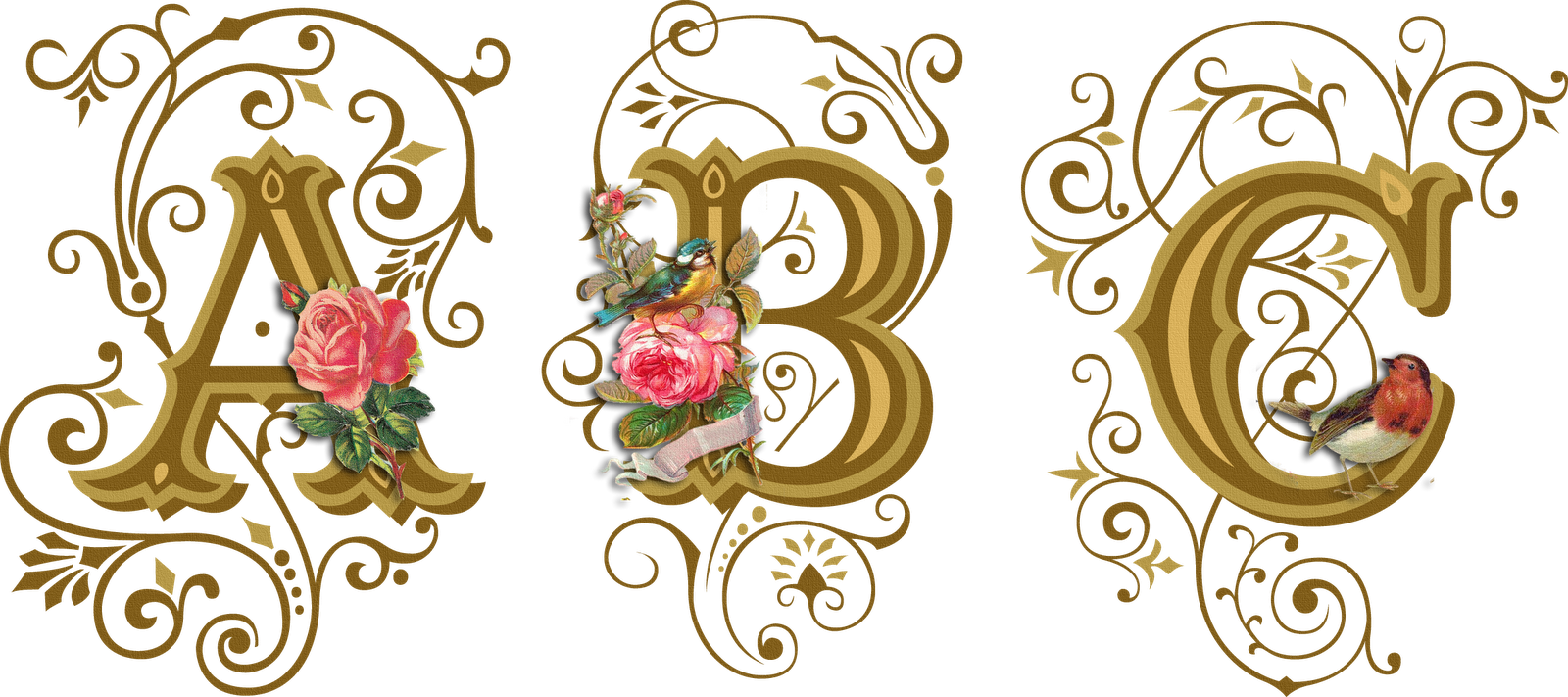 Красивые прописные буквы для оформления с завитками ROSAS, PÁJAROS Y MARIPOSAS Idee artistiche, Iniziali, Alfabeto