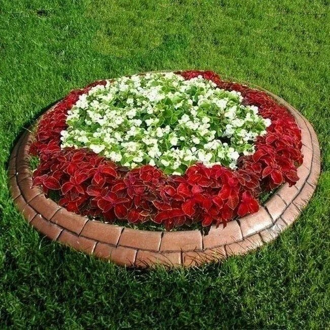 Красивые простые клумбы фото Round flower, herb, vegetable beds: 40 simple ideas for your garden My desired h