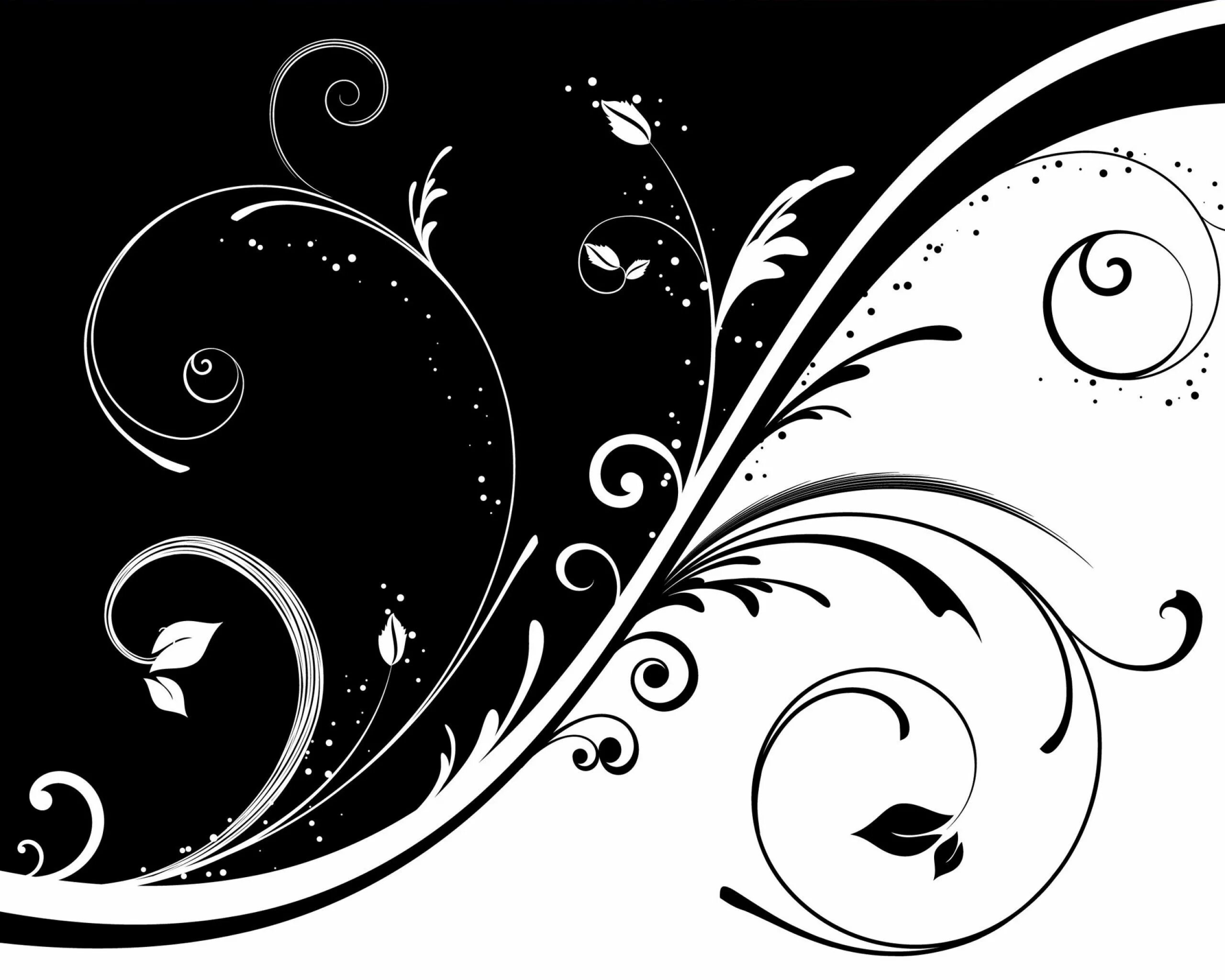 Красивые простые узоры фото White pattern background, Black white art, Black and white flowers