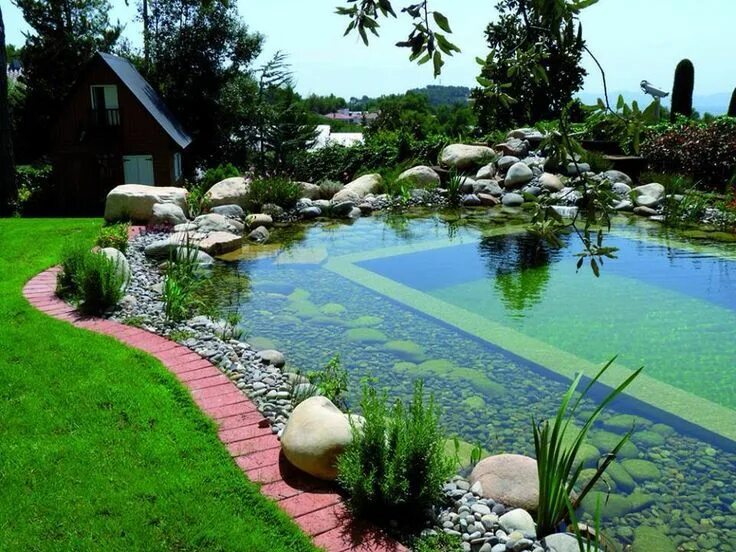 Красивые пруды на участке фото Водоём Paisagem de lagoa, Piscinas naturais, Jardim com piscina