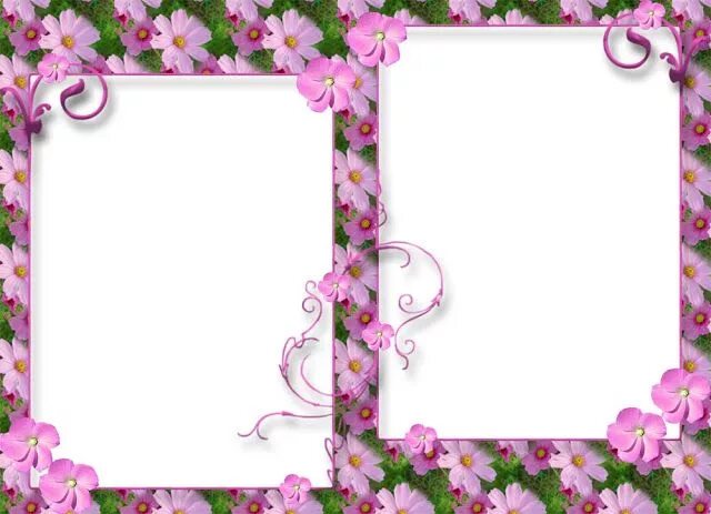 Красивые рамки для оформления фотографий Pin by **DaWn** on Frames Flower frame png, Flower frame, Frame