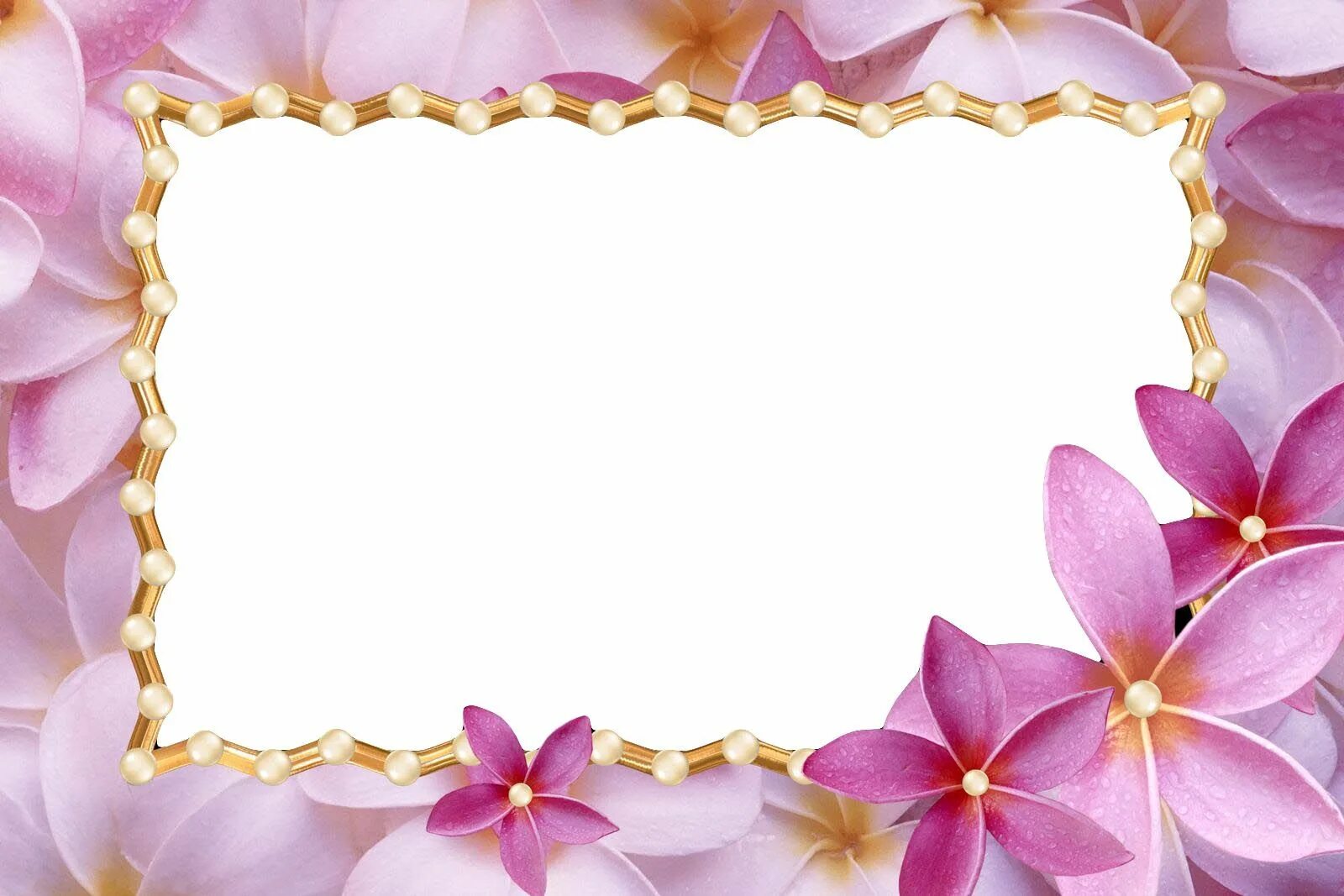 Красивые рамки для оформления фотографий бесплатно Love Photo Frames Free Download Tourism Destination Love frames, Fancy photo fra