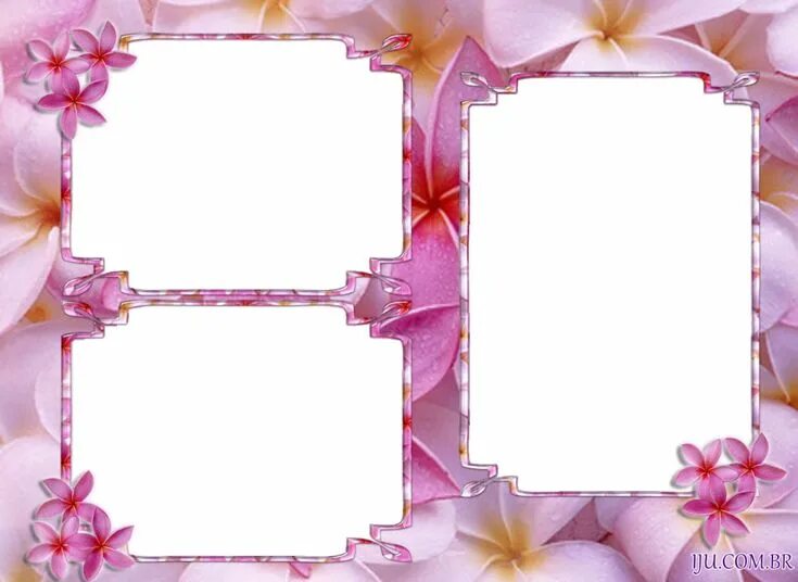 Красивые рамки для оформления фотографий онлайн бесплатно Molduras Para 3 Fotos Flores Moldura para fotos, Molduras, Fotos gratis