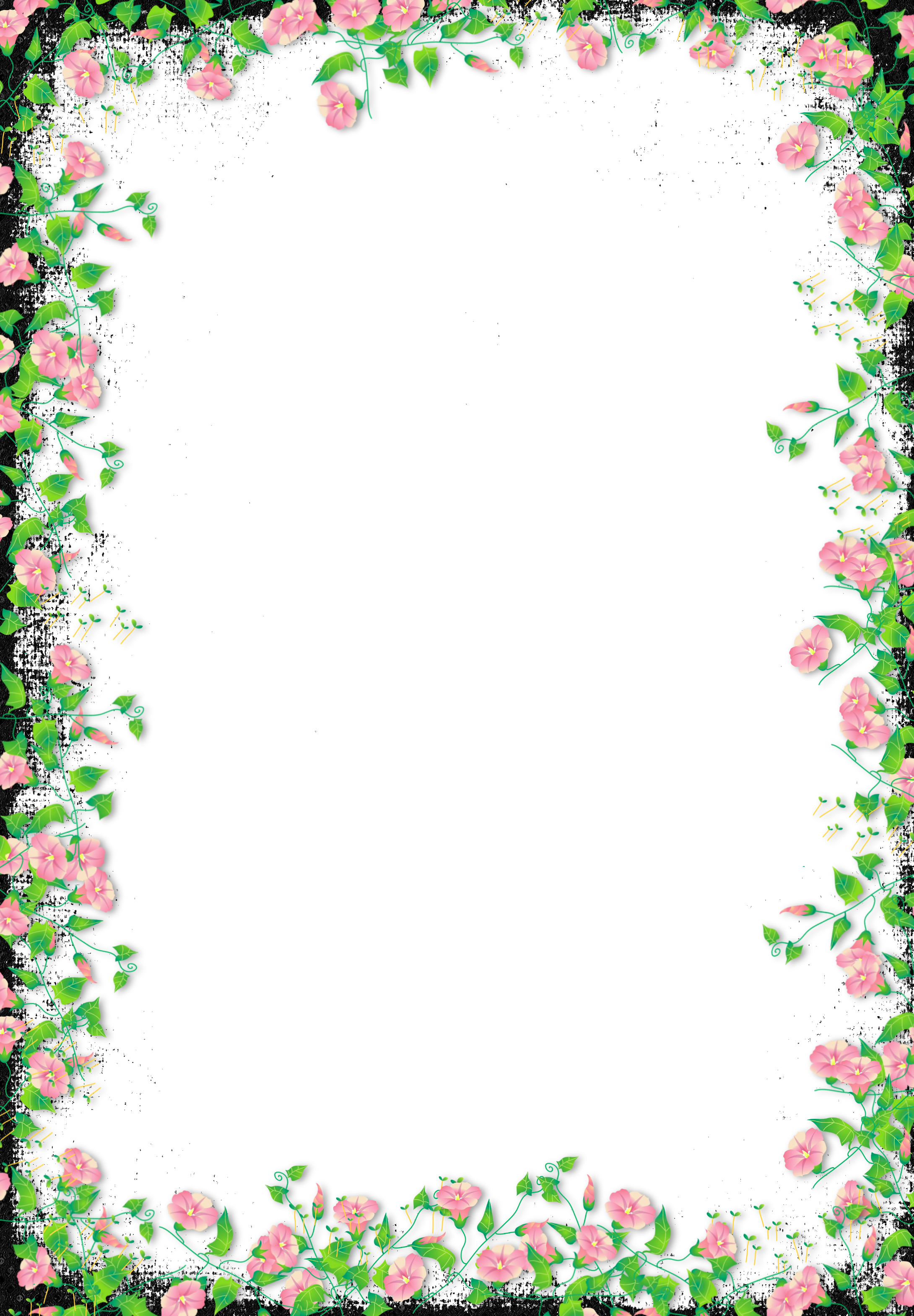 Красивые рамки с цветами для оформления текста Black Transparent Flower Frame Flower frame, Flower border, Floral border design