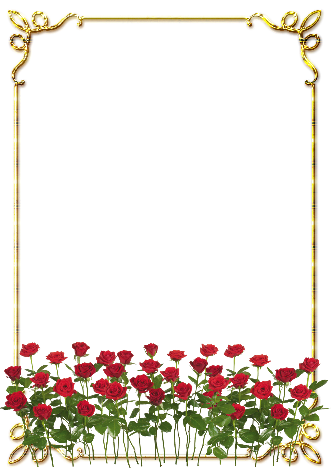 Красивые рамки с цветами для оформления текста Frames PNG douradas com rosa vermelhas Flower frame, Floral border design, Flora