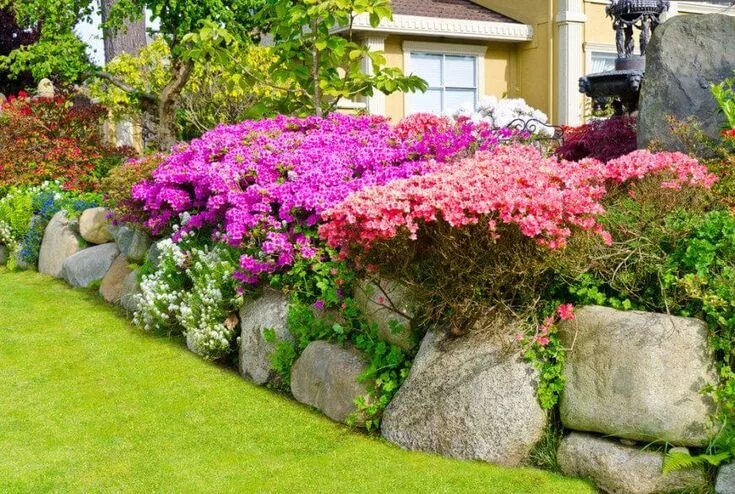 Красивые растения для ландшафтного дизайна фото 101 Front Yard Garden Ideas (Awesome PHOTOS) Garden front of house, Rustic lands