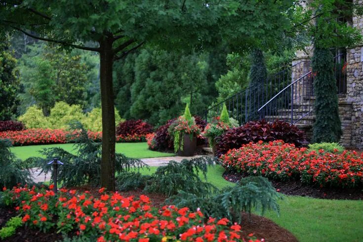Красивые растения для ландшафтного дизайна фото The Graceful Gardener Dream garden, Amazing gardens, Beautiful gardens