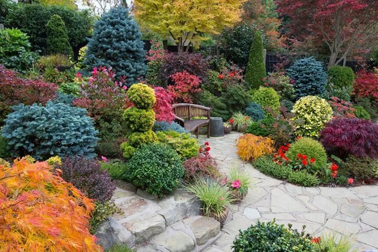 Красивые растения для ландшафтного дизайна фото england gardens - Поиск в Google Bonsai garden, Garden trees, Colorful garden