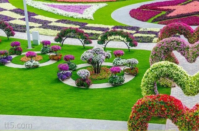 Красивые растения для ландшафтного дизайна фото Dubai Miracle Garden Flower garden design, Small flower gardens, Beautiful flowe