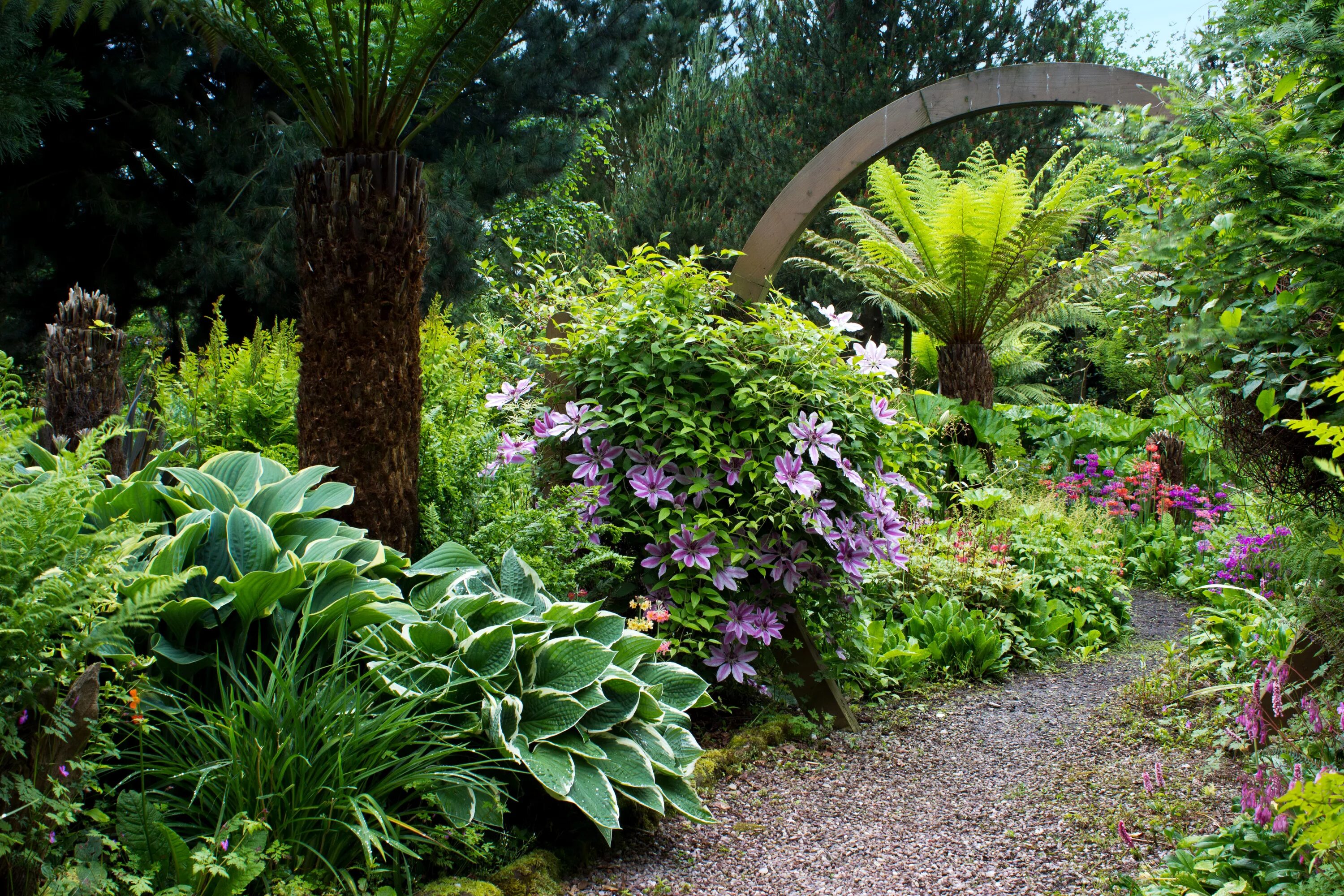 Красивые растения для сада фото Фото Великобритания Mount Pleasant gardens Природа 3000x2000