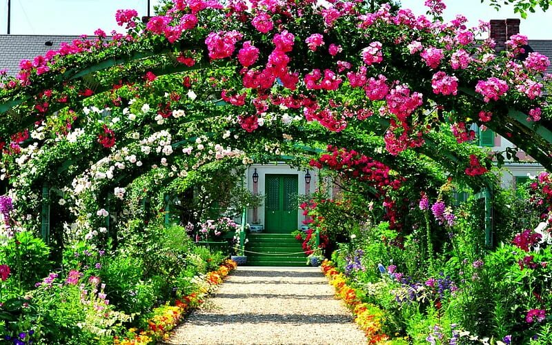 Красивые растения для сада фото 2K free download FLOWER ARCH, flowers, spring, house, arch, HD wallpaper Peakpx