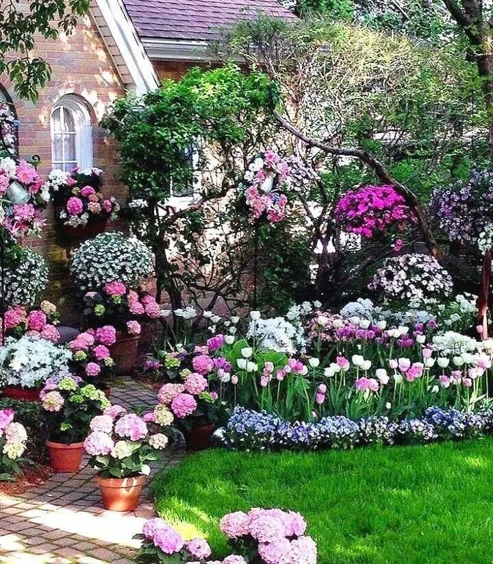 Красивые растения для сада фото Pin by Jackie Spencer on Gardening Dream garden, Garden styles, Beautiful garden