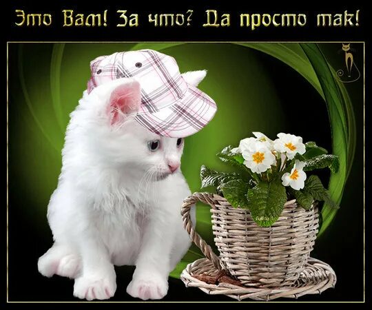 Красивые разные картинки с пожеланием Татьяна Юдина, 66 years old, Moscow, would like to meet a guy at the age of 51 -