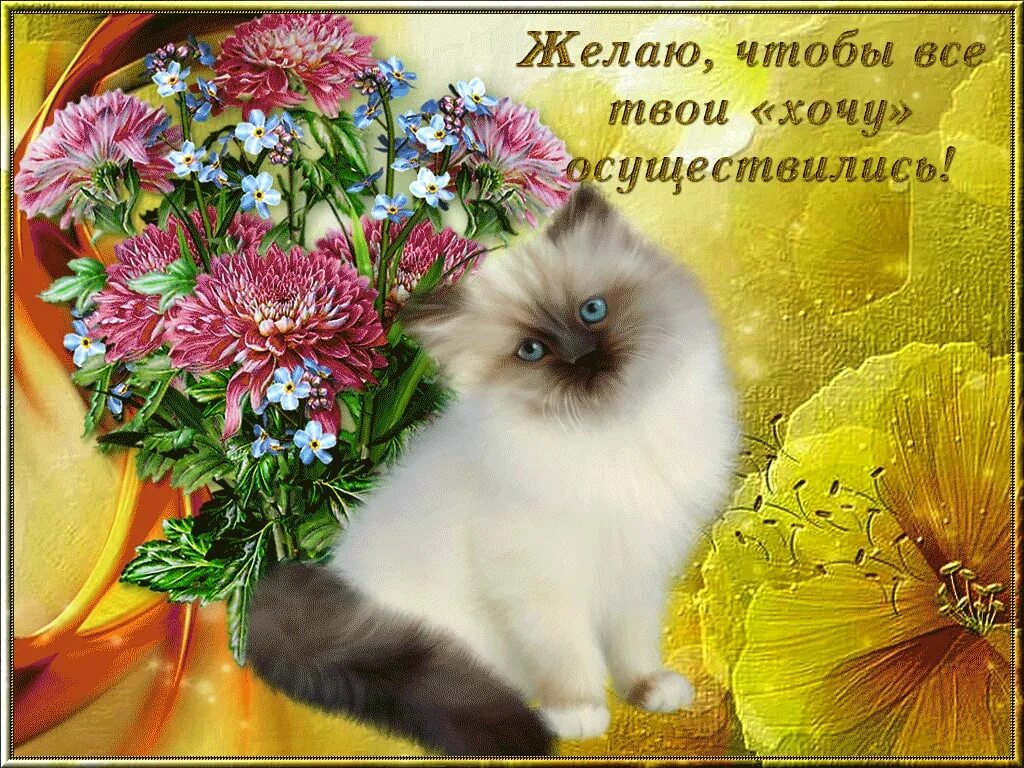 Красивые разные картинки с пожеланием #183 post - Открытки для души ✨ (HJ5Iwnu0128wMTUy)
