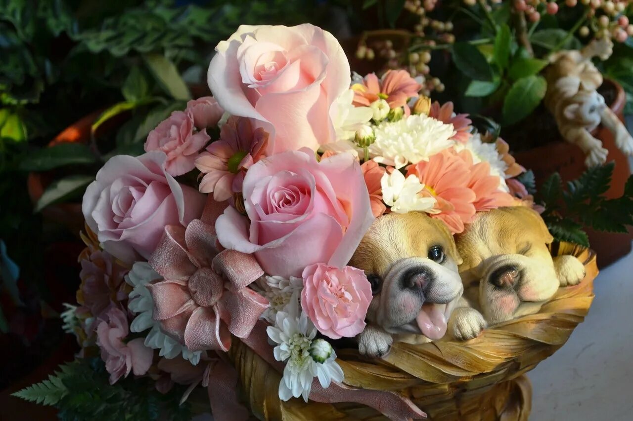 Красивые разные картинки с пожеланием Photos de beaux bouquets de fleurs. 80 morceaux de superbes photos
